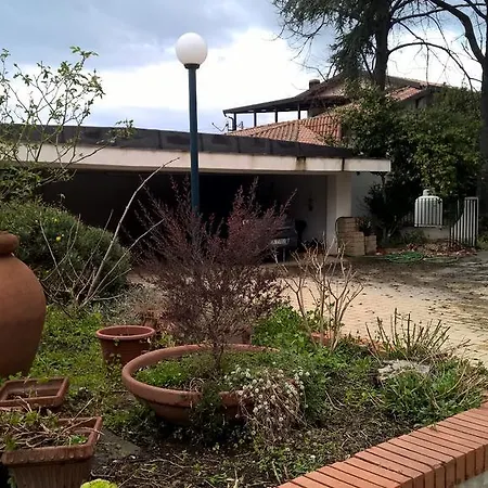 Easy Bed Guest house